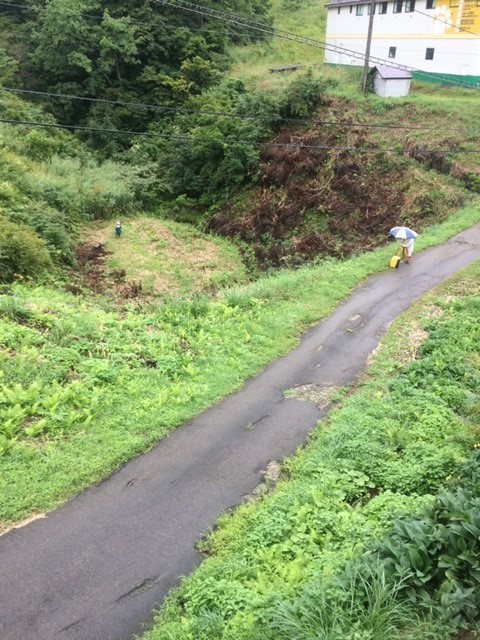 造成前道1.jpg